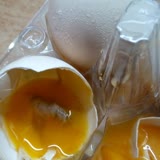 CP Piliç Bozuk Ve Küflü Yumurta