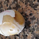 CP Piliç Kötü Kokulu Yumurta