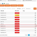 Turkticaret.net Düşen Domain Cezalı Yenilemede Fahiş Fiyat