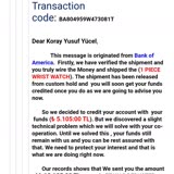 I was duped by a totally fake Bank of America email