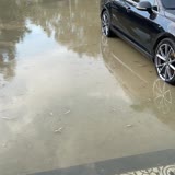 Bornova Belediyesi Terk Edilmiş Belediye Arazisi Sel Suları Tahribatı!