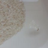 Şok Market Pirinç Kurtlu Çıktı