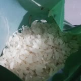 Orvital Marka Kurtlu Pirinç