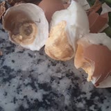 Hakmar Bozuk Yumurta Satıyor