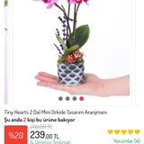 Osevio.com Canlı Çiçek Solmuş Ve Kırılmış Firma Cevap Vermiyor