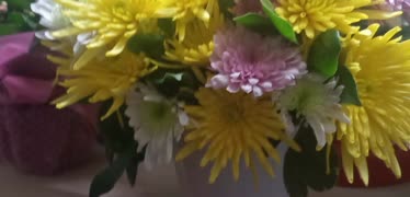 Osevio.com Siparişten Farklı Çiçek Nasıl Teslim Edilir!