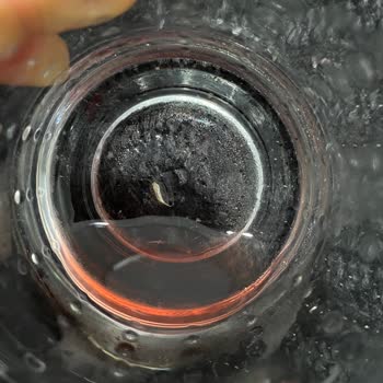 Bim Meyve Suyunun İçinde Böcek