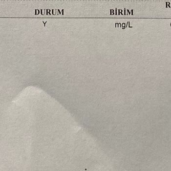 Gaziantep Burger King Zehirlenme