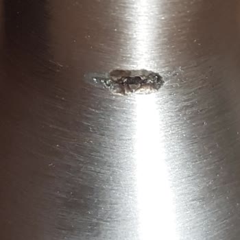 Philips Ev Aletleri Viva Collection promixhr 2653/90 800 W Blender Seti