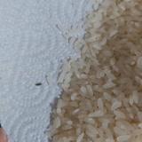 File Market Güveli Pirinç Satıyor