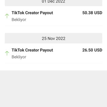 Param Payoneer'de Kaldı Vermiyorlar