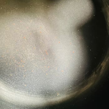 Karaca Züccaciye Karaca Emaye Retro Çaydanlıkta Pas Oluştu