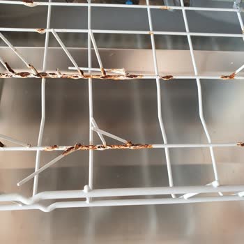 Siemens Bulaşık Makinesi Sepetlerinin Bozulması