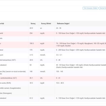 Alpi Diş Hastaneleri Haksız Kazanç