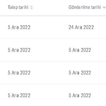 Payoneer Bir Türlü Hesabımı Onaylamıyor