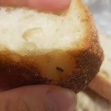 Bim Ekmeği Böcek Skandalı