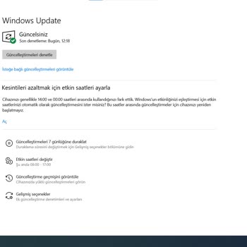 Monster Notebook Elden Ring Kasma Sorunu