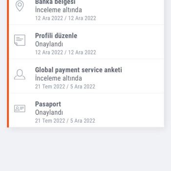 Payoneer İstenilen Tüm Belgeleri Göndermeme Rağmen Hesabı Onaylamıyor