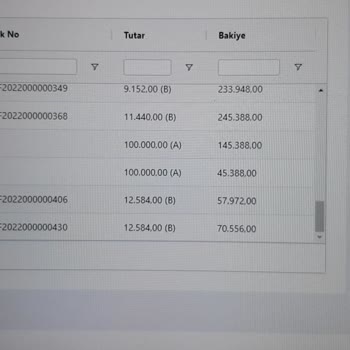 Uyumsoft Bilgi Sistemleri Ekocari Muhasebe Programı Hataları