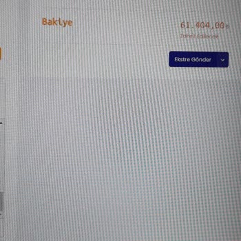 Uyumsoft Bilgi Sistemleri Ekocari Muhasebe Programı Hataları