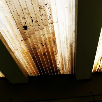 Polikarbon.com.tr Hatalı İşçilik Sonucu Mahvolan Teras