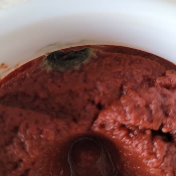 Son Kullanım Tarihi 24.11.2025 Tarihli, Küflenmiş Öncü Salça