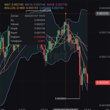 Bybit Vadeli İşlemler Likidasyon Sorunu