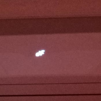 Vestel Flora Doğa Df Hatası