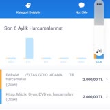 Pale Bilişim İstanbul Ve Elmas Gold Adana Firmaları