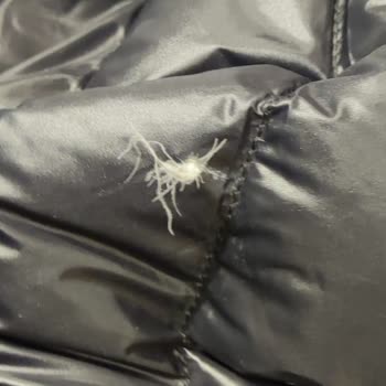 U. S. Polo Assn.'da Kalitesiz Kaz Tüyü Mont