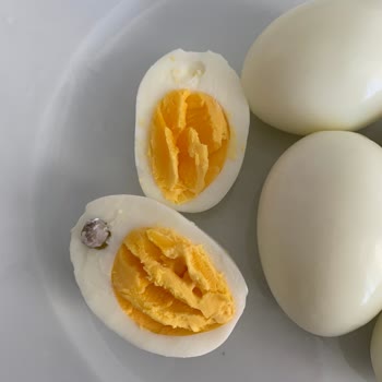 Bim Yumurtanın İçinden Çıkan Yabancı Madde