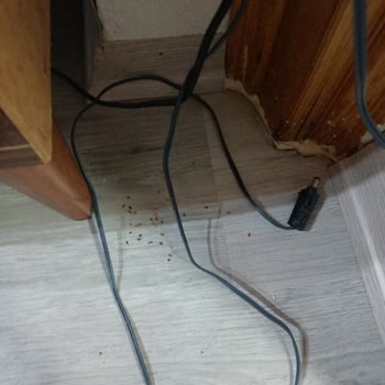 Tefal İade Edilmesini İstiyorum