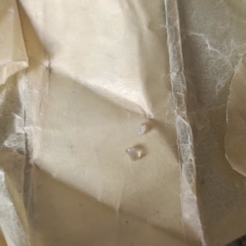 I found a shard of glass in a package of Lay's potato chips