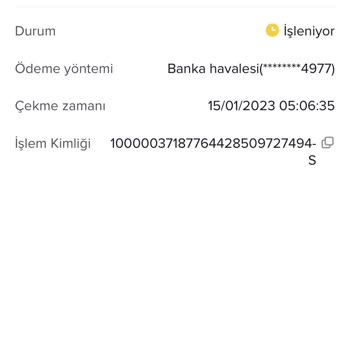 TikTok Hesap Ve Bakiye Çalınması
