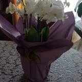 Taze Çiçek (tazecicek.com) Verdiğim Siparişin Görselle Alakası Yok