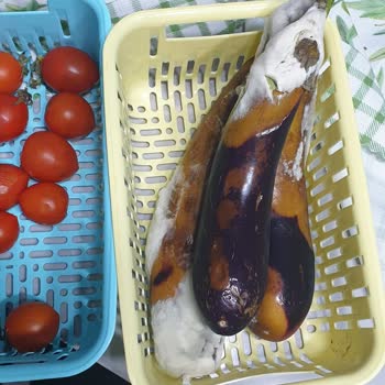 Arçelik Buzdolabındaki Küf Sorunu