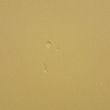 Alfemoya Yakışmayan Ciddiyetsizlik