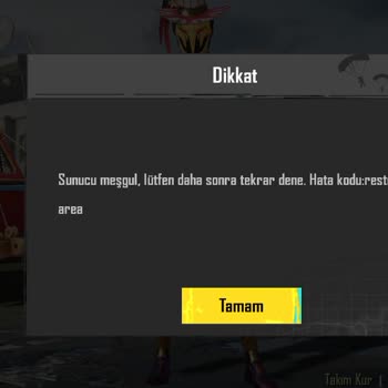 PUBG Hata Restrict Area