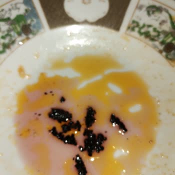 Deva Şarapçılık Akdeniz İncisi Kırmızı Şaraptan Çıkan Yabancı Maddeler