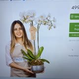 Taze Çiçek (tazecicek.com) Skandalı