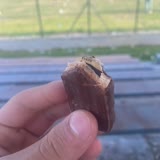 Detay Gıda X Roll Çikolata İçinden Yerken Tam Ortasında Poşet Çıktı