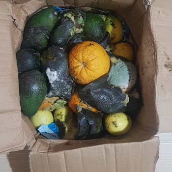 PTT Kargo Sorumsuz Davranışı!