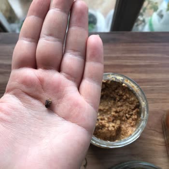 Tarım Kredi Kooperatif Market Fıstık Ezmesi Sorunu