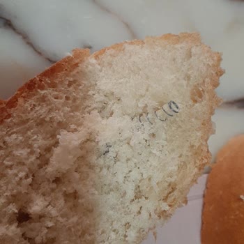 Besaş Ekmeğin İçinden Yay Çıktı