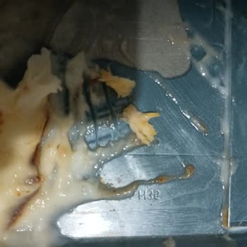 Sbu Sivaslı Bekir Usta Kazandibinden Tavuk Çıktı