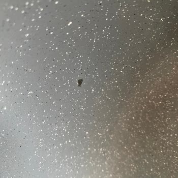 Thermoad 28 Cm Wok Tava İç Kaplamanın Dökülmesi