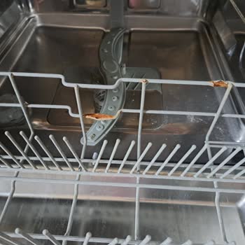 Samsung Bulaşık Makinesi Herkesin Aynı Sorunu Yaşaması