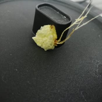 Foreign Object Found in Lay's Yoghurt and Seasonal Greens Chips