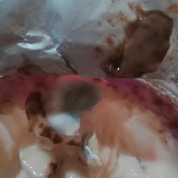 Eker Marka Kazandibi Tatlısı Küflü Çıktı