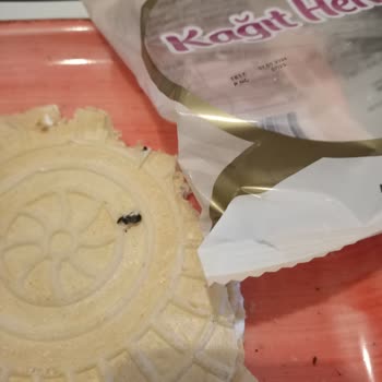 Şok Marketler Kağıt Helvadan Böcek Ölüsü Çıktı!